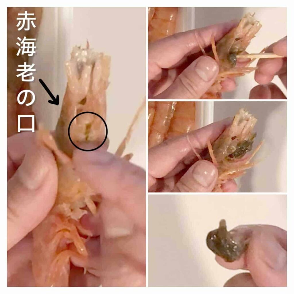 赤海老の下処理工程