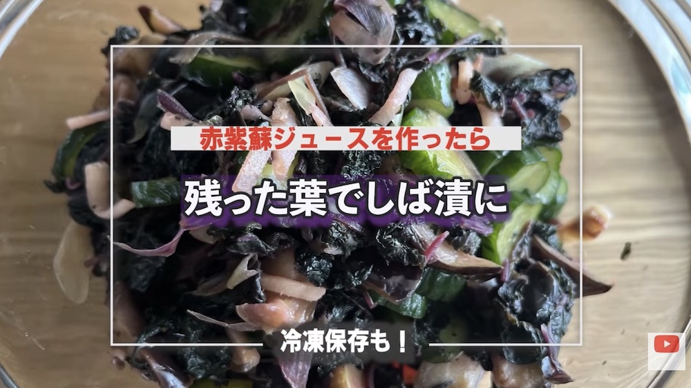 絞った赤紫蘇で作るしば漬けのサムネ